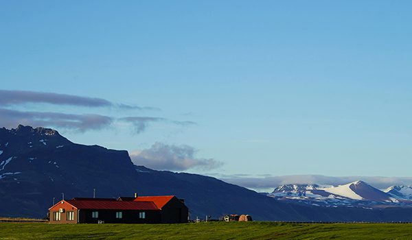 gigolo-a-Reykjavik-1
